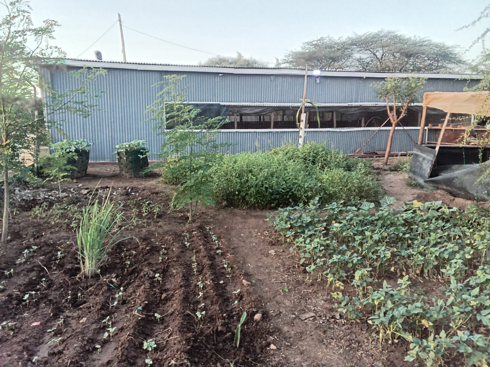 Integrated farm & crop beds