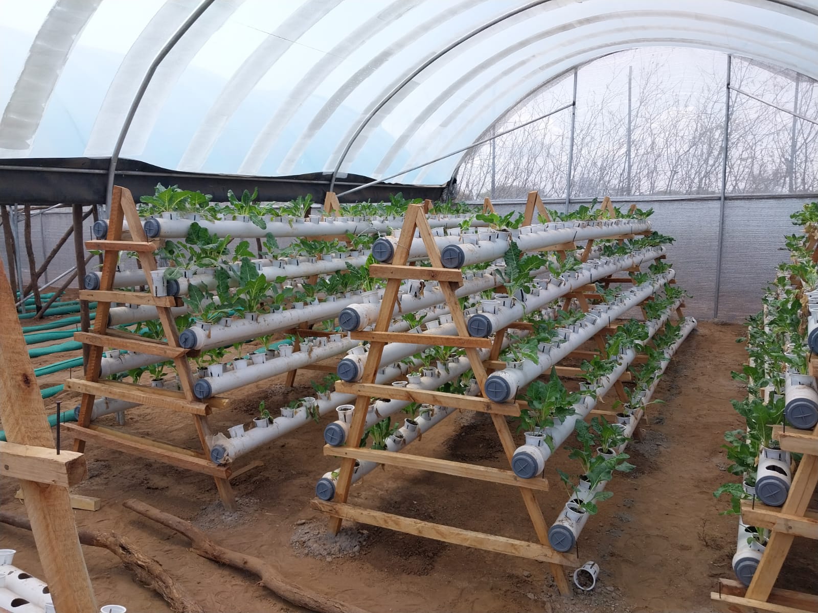 Hydroponics Farming Technology
