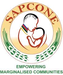 SAPCONE logo