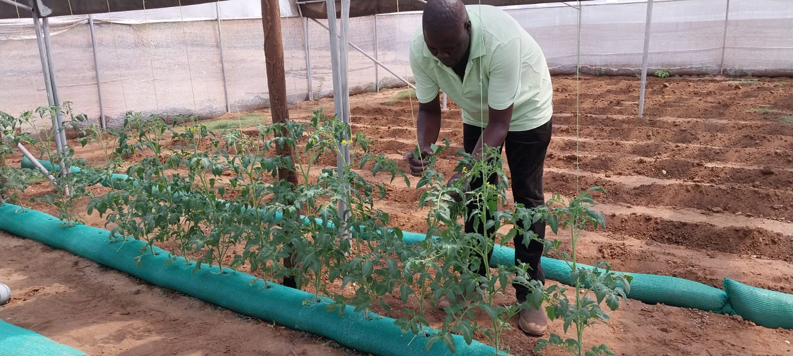 Smart Agriculture Innovations